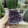 HỐC THẠCH ANH TÍM NHỎ - SMALL AMETHYST GEODE (TV106)