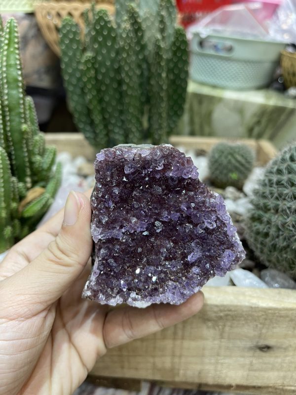 HỐC THẠCH ANH TÍM NHỎ - SMALL AMETHYST GEODE (TV106)