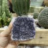 HỐC THẠCH ANH TÍM NHỎ - SMALL AMETHYST GEODE (TV107)