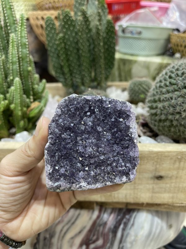 HỐC THẠCH ANH TÍM NHỎ - SMALL AMETHYST GEODE (TV107)