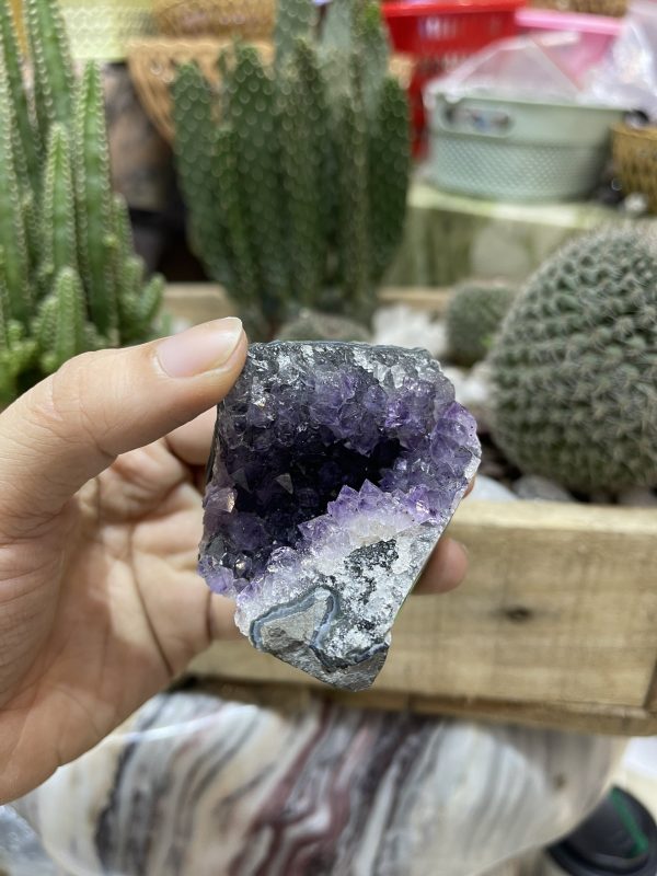 HỐC THẠCH ANH TÍM NHỎ - SMALL AMETHYST GEODE (TV108)