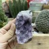 HỐC THẠCH ANH TÍM NHỎ - SMALL AMETHYST GEODE (TV110)