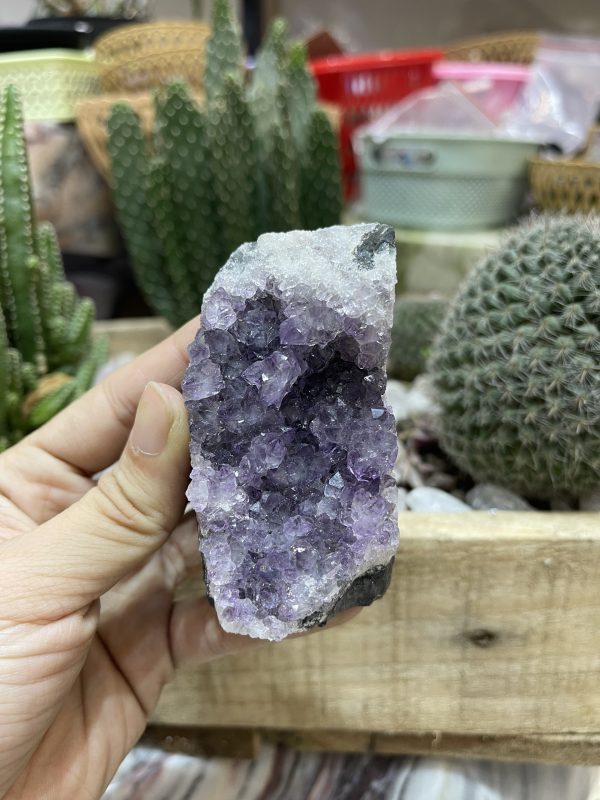 HỐC THẠCH ANH TÍM NHỎ - SMALL AMETHYST GEODE (TV110)