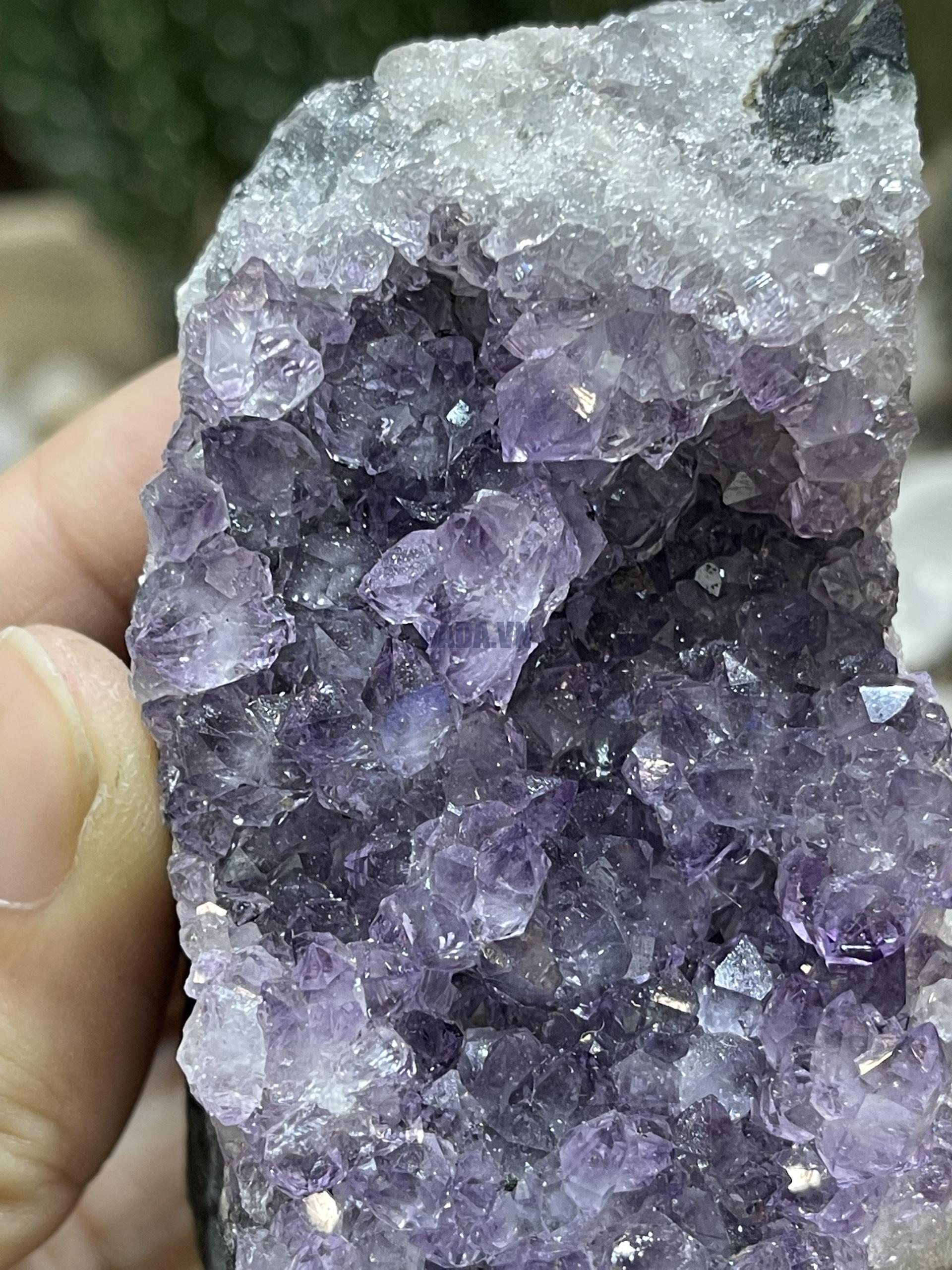 HỐC THẠCH ANH TÍM NHỎ - SMALL AMETHYST GEODE (TV110)