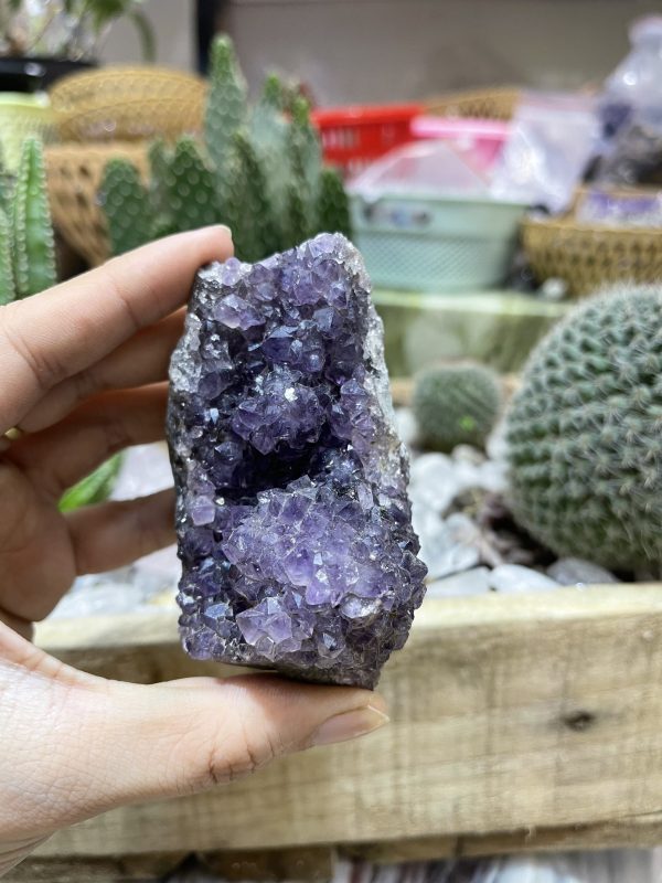 HỐC THẠCH ANH TÍM NHỎ - SMALL AMETHYST GEODE (TV111)