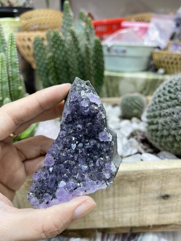 HỐC THẠCH ANH TÍM NHỎ - SMALL AMETHYST GEODE (TV112)