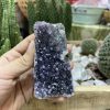 HỐC THẠCH ANH TÍM NHỎ - SMALL AMETHYST GEODE (TV113)