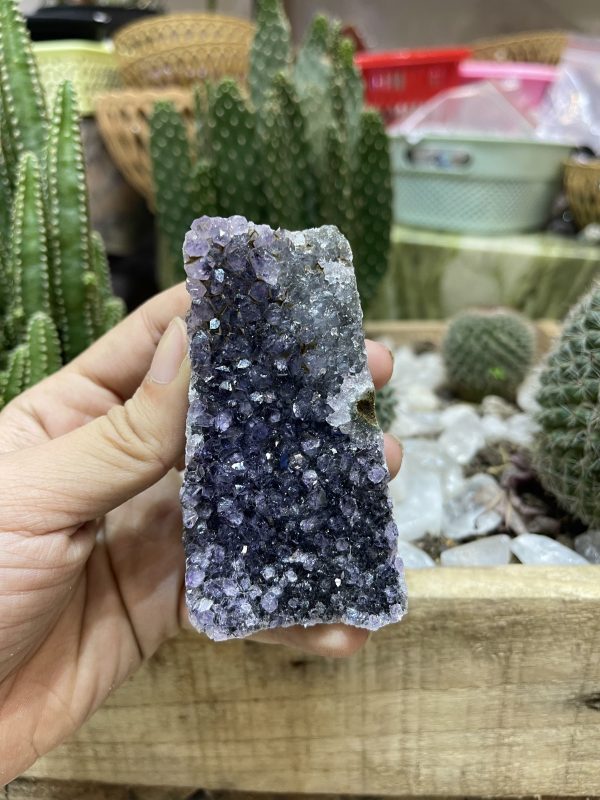 HỐC THẠCH ANH TÍM NHỎ - SMALL AMETHYST GEODE (TV113)