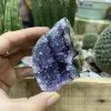 HỐC THẠCH ANH TÍM NHỎ - SMALL AMETHYST GEODE (TV116)