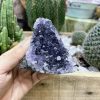 HỐC THẠCH ANH TÍM NHỎ - SMALL AMETHYST GEODE (TV117)