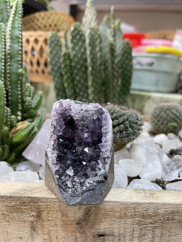 HỐC THẠCH ANH TÍM NHỎ - SMALL AMETHYST GEODE (TV119)