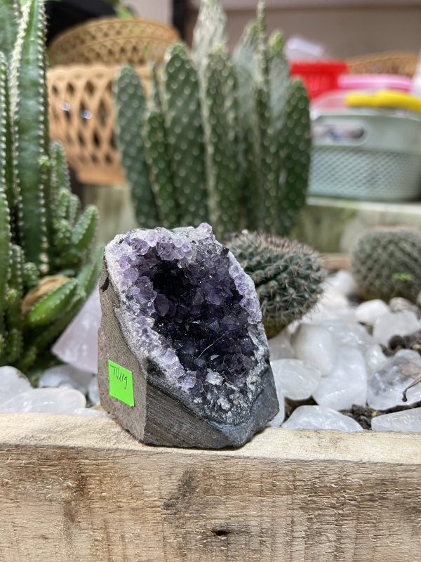 HỐC THẠCH ANH TÍM NHỎ - SMALL AMETHYST GEODE (TV119)