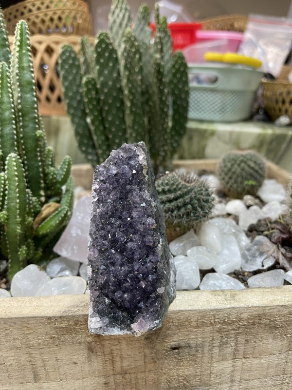 HỐC THẠCH ANH TÍM NHỎ - SMALL AMETHYST GEODE (TV120)