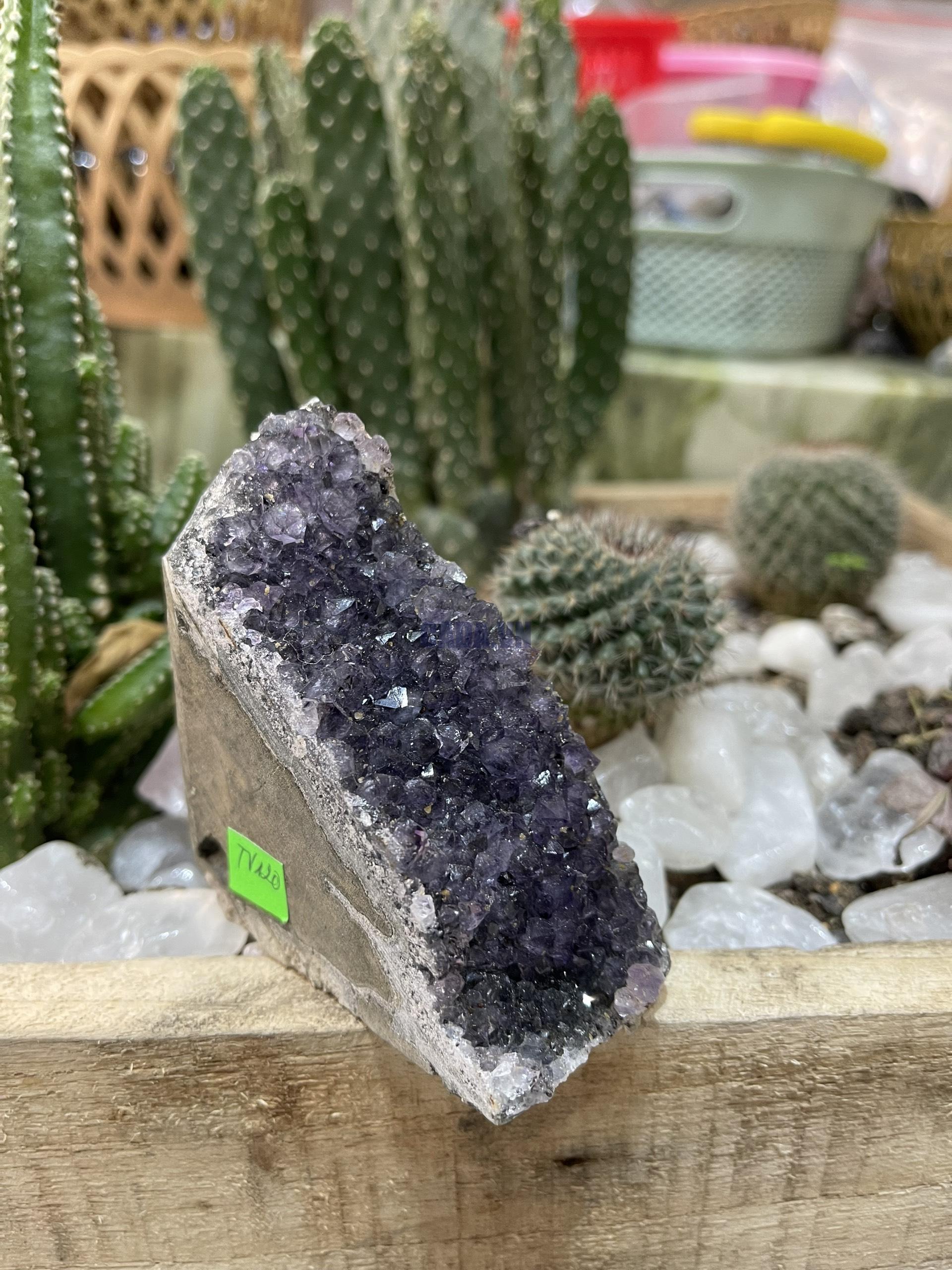 HỐC THẠCH ANH TÍM NHỎ - SMALL AMETHYST GEODE (TV120)