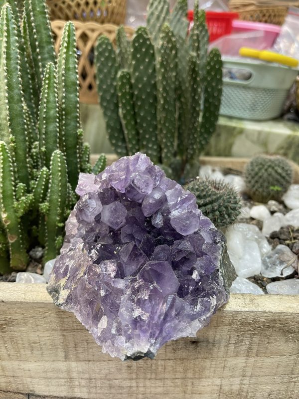 HỐC THẠCH ANH TÍM NHỎ - SMALL AMETHYST GEODE (TV132)