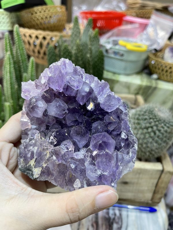 HỐC THẠCH ANH TÍM NHỎ - SMALL AMETHYST GEODE (TV132)