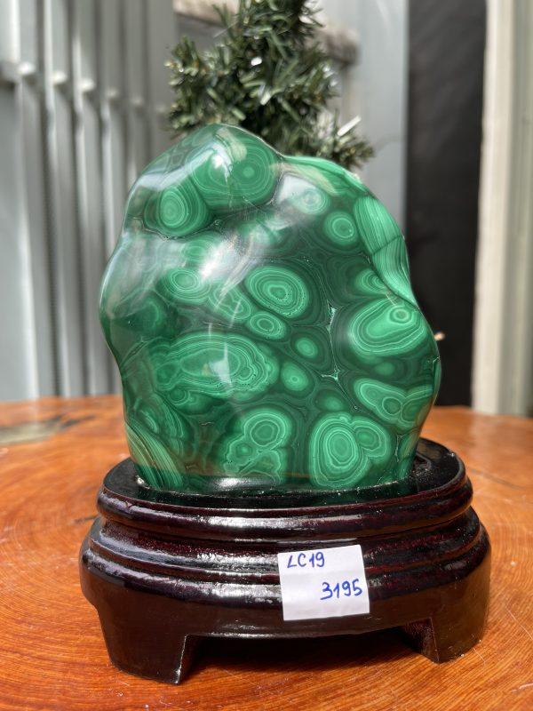 ĐÁ LÔNG CÔNG – ĐÁ KHỔNG TƯỚC – MALACHITE (LC19)