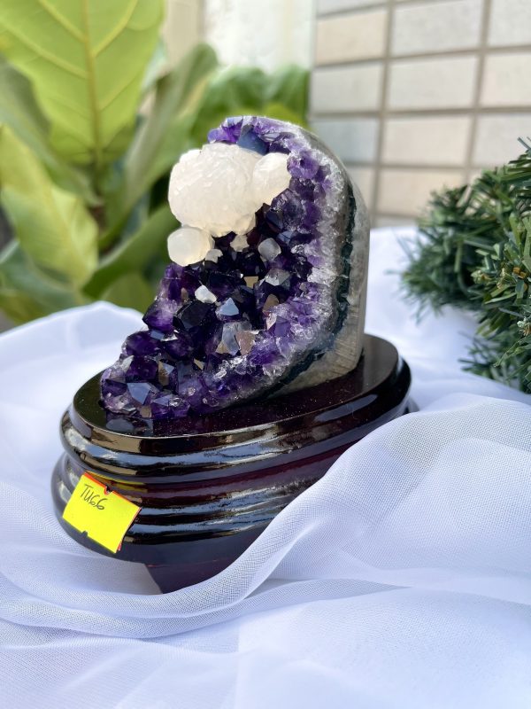 HỐC THẠCH ANH TÍM NHỎ – SMALL AMETHYST GEODE TU66