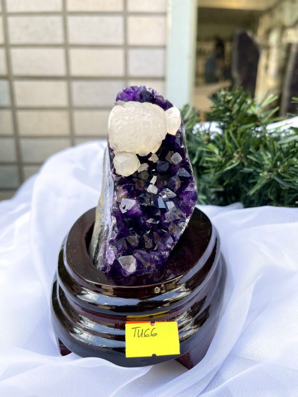 HỐC THẠCH ANH TÍM NHỎ – SMALL AMETHYST GEODE TU66