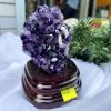 HỐC THẠCH ANH TÍM NHỎ – SMALL AMETHYST GEODE TU73