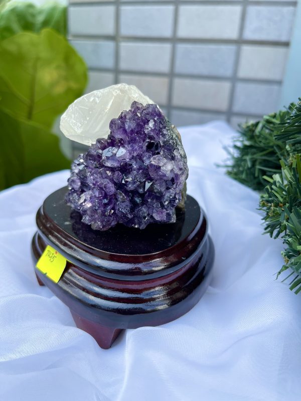 HỐC THẠCH ANH TÍM NHỎ – SMALL AMETHYST GEODE TU75