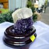 HỐC THẠCH ANH TÍM NHỎ – SMALL AMETHYST GEODE TU75