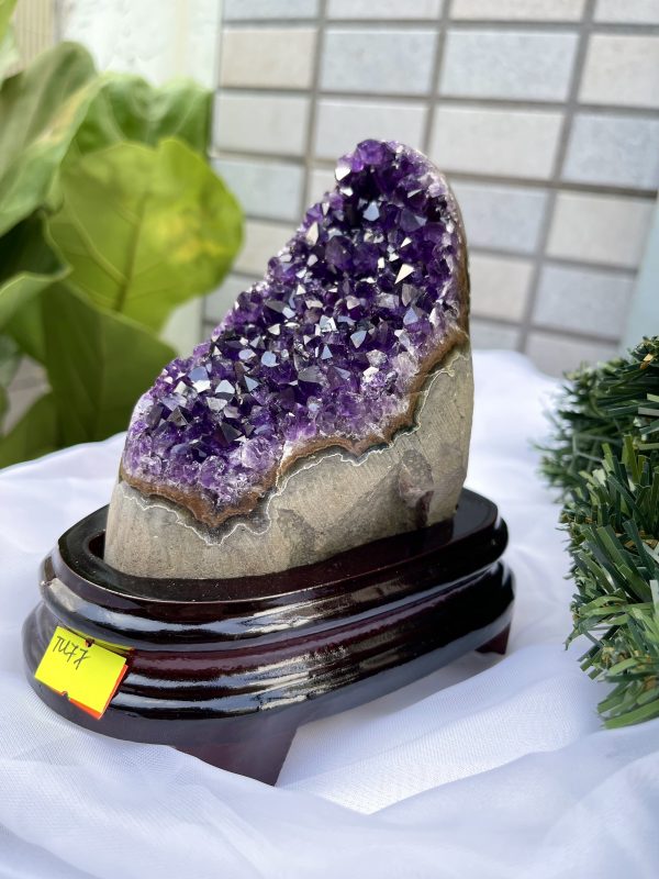 HỐC THẠCH ANH TÍM NHỎ – SMALL AMETHYST GEODE TU77