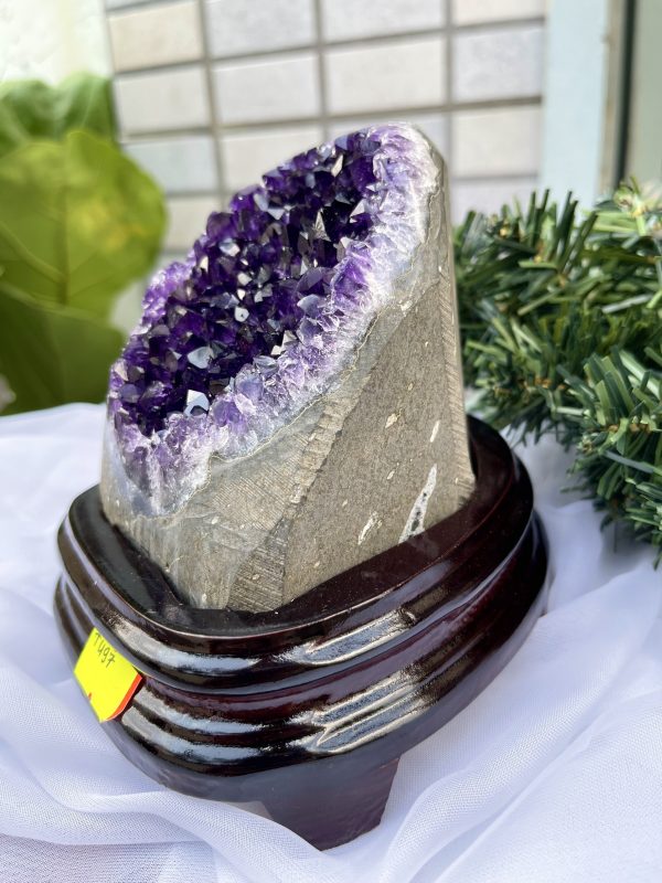 HỐC THẠCH ANH TÍM NHỎ – SMALL AMETHYST GEODE TU97