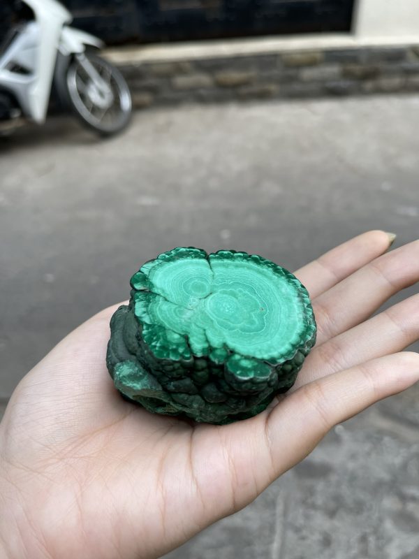 ĐÁ LÔNG CÔNG – ĐÁ KHỔNG TƯỚC – MALACHITE (LC32), KT: 6.5×6 CM; KL: 0.286KG