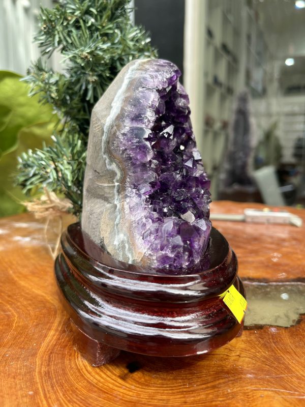 HỐC THẠCH ANH TÍM NHỎ – SMALL AMETHYST GEODE TU107