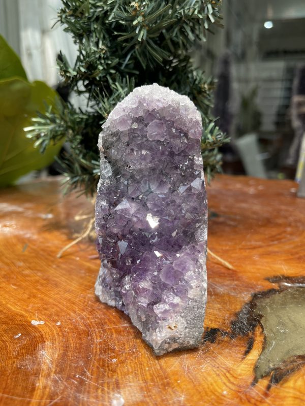 HỐC THẠCH ANH TÍM NHỎ – SMALL AMETHYST GEODE (TV312), KL: 0.592KG, KT: 11×6 CM