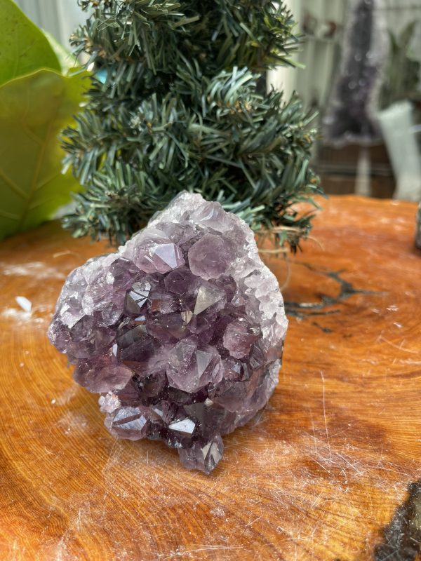 HỐC THẠCH ANH TÍM NHỎ – SMALL AMETHYST GEODE (TV326), KL: 0.640KG, KT: 10×9 CM