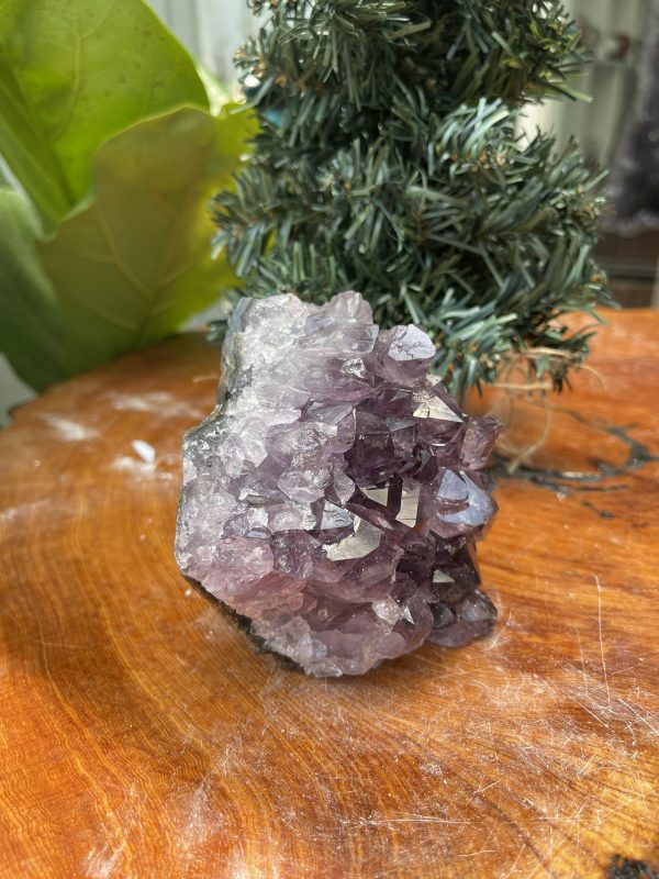 HỐC THẠCH ANH TÍM NHỎ – SMALL AMETHYST GEODE (TV326), KL: 0.640KG, KT: 10×9 CM