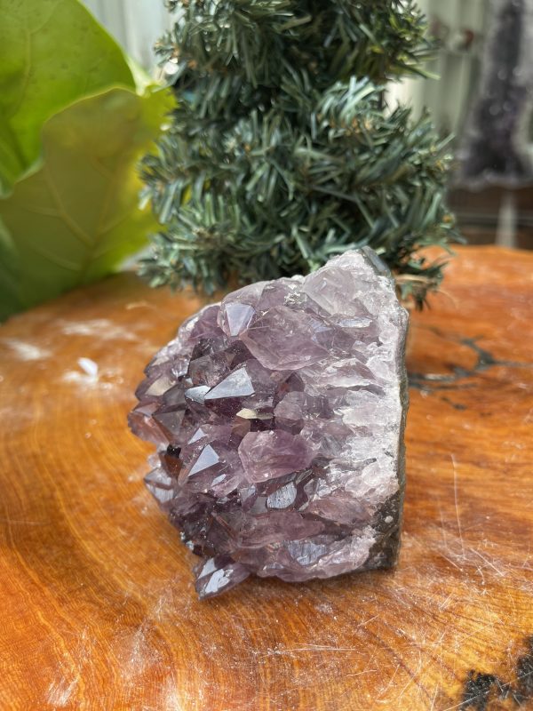 HỐC THẠCH ANH TÍM NHỎ – SMALL AMETHYST GEODE (TV326), KL: 0.640KG, KT: 10×9 CM