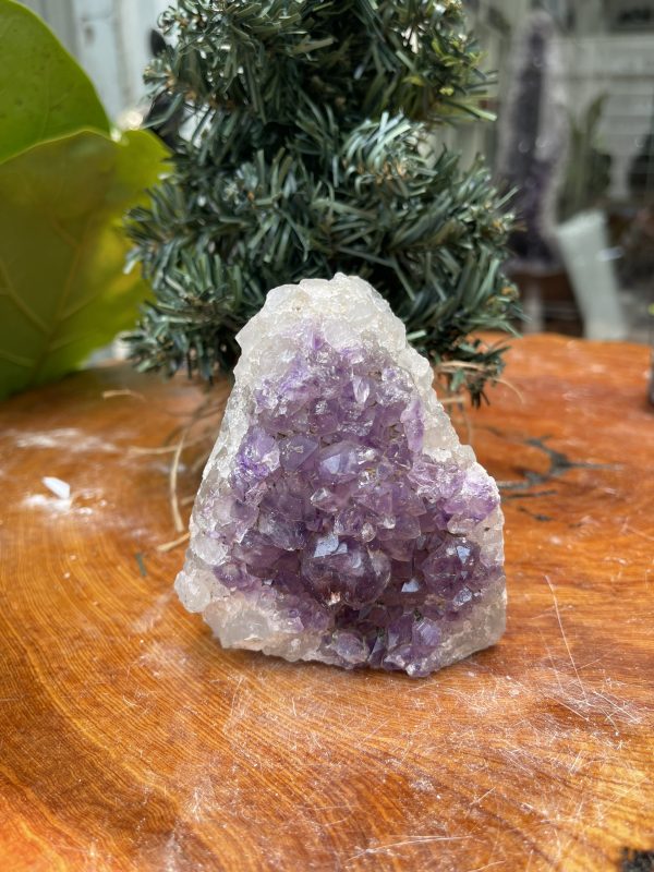 HỐC THẠCH ANH TÍM NHỎ – SMALL AMETHYST GEODE (TV327), KL: 0.490KG, KT: 10×8 CM