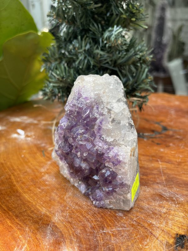 HỐC THẠCH ANH TÍM NHỎ – SMALL AMETHYST GEODE (TV327), KL: 0.490KG, KT: 10×8 CM