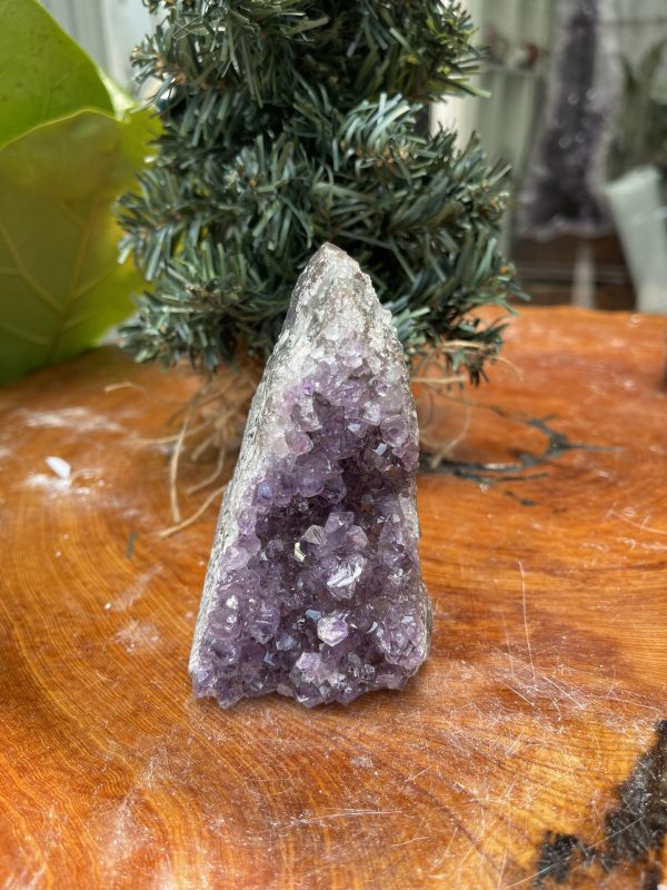 HỐC THẠCH ANH TÍM NHỎ – SMALL AMETHYST GEODE (TV333), KL: 0.424KG, KT: 11×6 CM