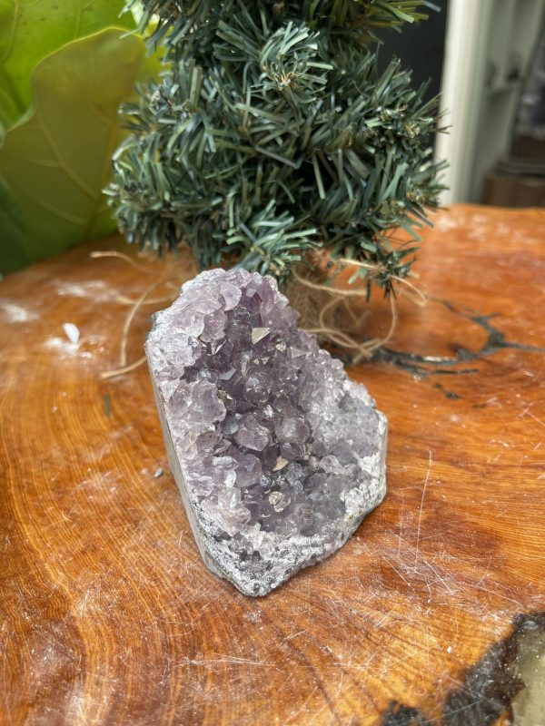 HỐC THẠCH ANH TÍM NHỎ – SMALL AMETHYST GEODE (TV340), KL: 0.454KG, KT: 8×9 CM