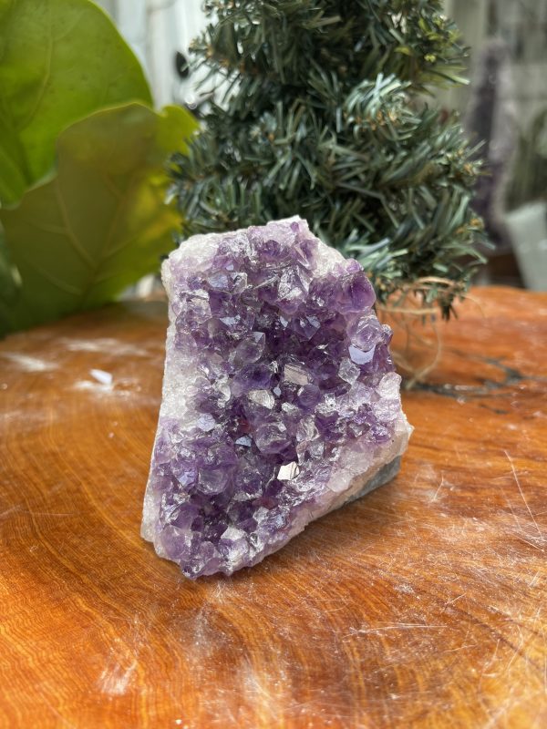 HỐC THẠCH ANH TÍM NHỎ – SMALL AMETHYST GEODE (TV342), KL: 0.630KG, KT: 9×8 CM