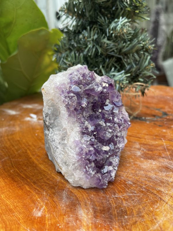 HỐC THẠCH ANH TÍM NHỎ – SMALL AMETHYST GEODE (TV342), KL: 0.630KG, KT: 9×8 CM