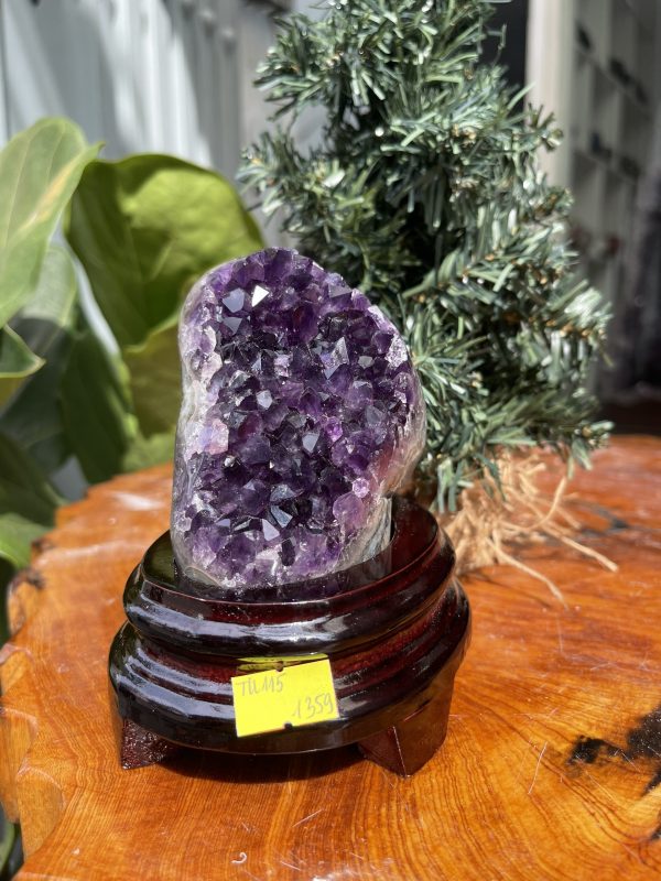 HỐC THẠCH ANH TÍM NHỎ – SMALL AMETHYST GEODE TU109