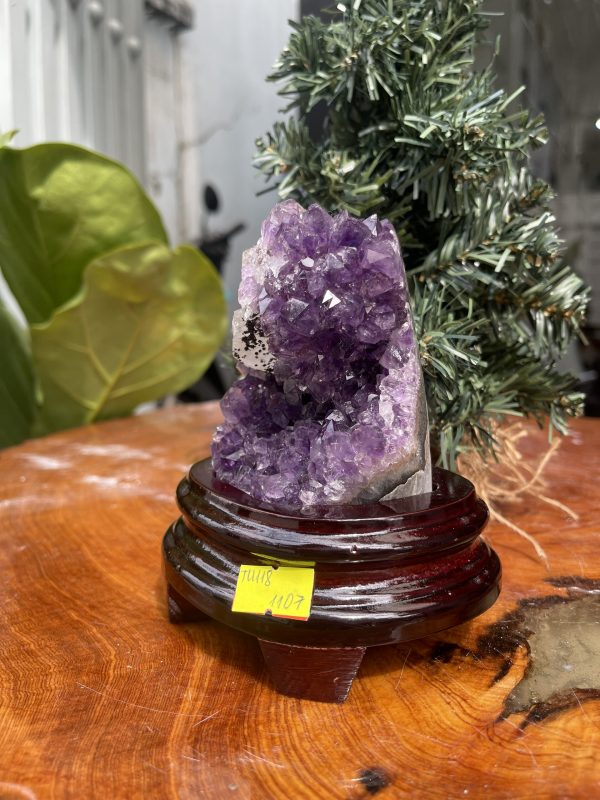 HỐC THẠCH ANH TÍM NHỎ – SMALL AMETHYST GEODE TU109