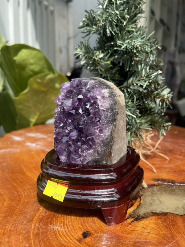 HỐC THẠCH ANH TÍM NHỎ – SMALL AMETHYST GEODE TU109