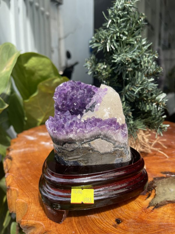 HỐC THẠCH ANH TÍM NHỎ – SMALL AMETHYST GEODE TU109