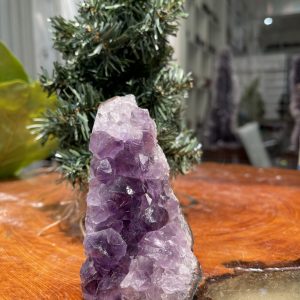 HỐC THẠCH ANH TÍM NHỎ – SMALL AMETHYST GEODE (TV235), KL: 0.498KG, KT: 10.5×6CM