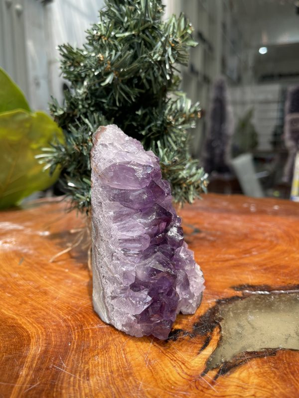 HỐC THẠCH ANH TÍM NHỎ – SMALL AMETHYST GEODE (TV235), KL: 0.498KG, KT: 10.5×6CM