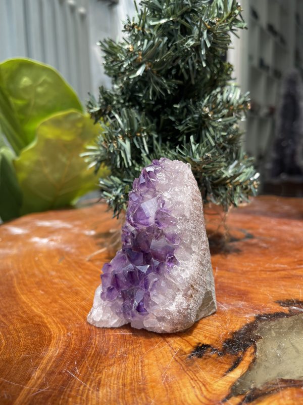 THẠCH ANH TÍM NHỎ – SMALL AMETHYST GEODE (TV219), KL: 0.332KG, KT: 9×7CM