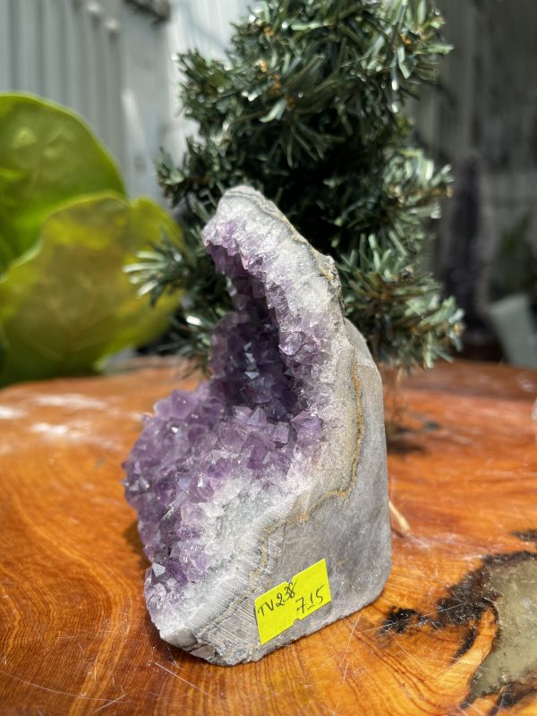 HỐC THẠCH ANH TÍM NHỎ – SMALL AMETHYST GEODE (TV238), KL: 0.596KG, KT: 11.5×7.3CM