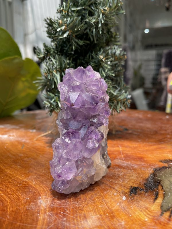 HỐC THẠCH ANH TÍM NHỎ – SMALL AMETHYST GEODE (TV296), KL: 0.48 KG, KT: 10x5 CM