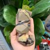 Septarian Freeform -Septarian nhiều hình dáng – Đá sưu tầm, thanh tẩy, thiền định, tarot |